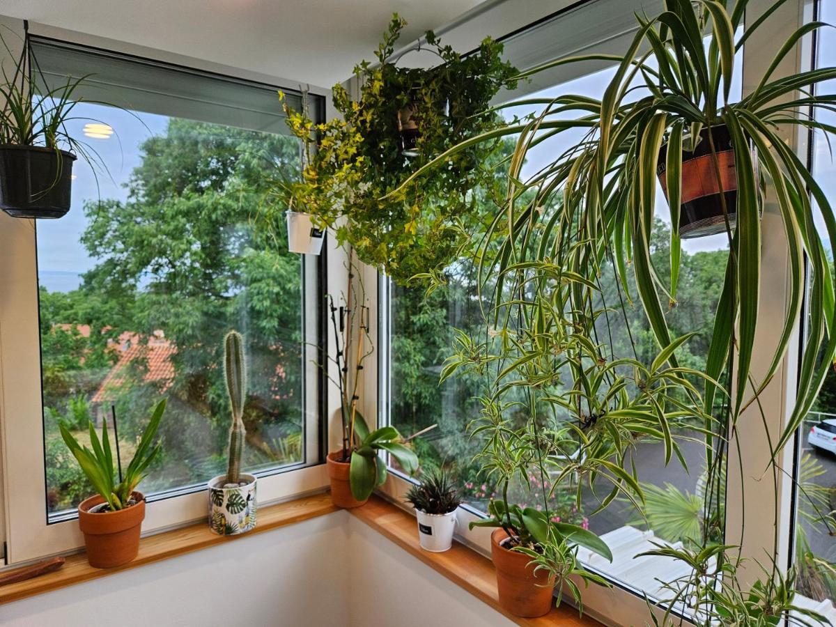 Apartman Carnevalus Rijeka Luaran gambar
