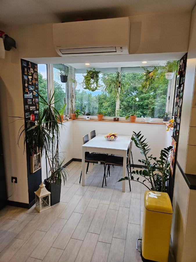 Apartman Carnevalus Rijeka Luaran gambar
